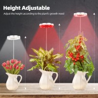 Pdgrow Led Grow Light For Indoor Plants, Full Spectrum Plants Lights With Red Light, Height Adjustable Growing Lamps With Timer,3 Lighting Modes & 10 Dimmable Brightness For Small Plants (2 Pack)