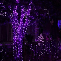 Dazzle Bright Purple Fairy String Lights 4 Pack Total 80Ft 240Led Copper Wire Battery Operated Waterproof Lights Halloween Dec