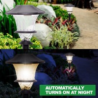 Greenlighting Low Voltage Landscape Lights, (8 Pack- 6 Stake Lights, 2 Flood Spotlights, & Transformer) Led, Landscaping Lighting, Yard Lights, Pathway, Outdoor Walkways & Path, Garden, Deck, Black