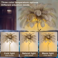 Natural Ostrich Feather Floor Lamp, Modern Led Dimmable Standing Lamp, Romantic Princess Bedroom Reading Lamp, Tall Corner Lamp For Living Room, Dining Room And Office (120Cm, Brown)