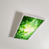 Lorougei Fluorescent Light Covers For Classroom Office - Light Filters Ceiling Led Ceiling Light Covers - 2Ft X 4Ft Drop Ceiling Fluorescent Decorative - Tree Leaves Sky Clouds Pattern