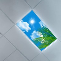 Lorougei Fluorescent Light Covers-For Ceiling Light Diffuser Panels - Fluorescent Light Covers For Classroom Office - 2Ft X 4Ft Drop Ceiling Fluorescent Decorative - Tree Leaves Sky Clouds Pattern