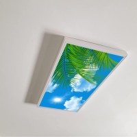 Lorougei Fluorescent Light Covers-For Ceiling Light Diffuser Panels - Fluorescent Light Covers For Classroom Office - 2Ft X 4Ft Drop Ceiling Fluorescent Decorative - Tree Leaves Sky Clouds Pattern