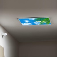 Lorougei Fluorescent Light Covers-For Ceiling Light Diffuser Panels - Fluorescent Light Covers For Classroom Office - 2Ft X 4Ft Drop Ceiling Fluorescent Decorative - Tree Leaves Sky Clouds Pattern