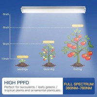 T5 Grow Lights 2 Pack 14Ft 5000K White Full Spectrum Led Plant Growing Lamp Strips For Indoor Plants Seeds Starting Succulen