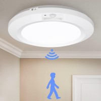 Lineway Motion Sensor Ceiling Light Battery Operated Indoor 210Lm Ceiling Light Battery Powered Led Closet Light Motion Sensor L