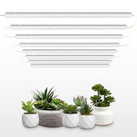 Barrina T5 Grow Lights 5000K White Full Spectrum Led Grow Lights 2Ft 80W 8 X 10W Plant Grow Lights For Indoor Plants Plug A