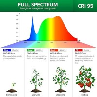 Sansi Led Grow Lights For Indoor Plants 300W Full Spectrum Clipon Gooseneck Grow Light With Ceramic Tech 20W Power Plant Ligh