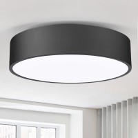 Politamp Flush Mount Ceiling Light 118 Inch 2Light Close To Ceiling Light Fixture Matte Black Indoor Lighting Fixtures Ceiling