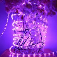 Huizhen Indoor Outdoor Rope Lights 110V 100Ft Connectable Purple Led Rope Lights Outdoor Waterproof Kit For Party Wedding Backgr