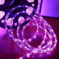 Huizhen Indoor Outdoor Rope Lights 110V 100Ft Connectable Purple Led Rope Lights Outdoor Waterproof Kit For Party Wedding Backgr