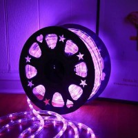 Huizhen Indoor Outdoor Rope Lights 110V 100Ft Connectable Purple Led Rope Lights Outdoor Waterproof Kit For Party Wedding Backgr