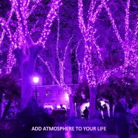 Potive Purple Solar Lights Outdoor Waterproof, 2 Pack Each 75.5Ft 200 Led Solar String Lights, 8 Modes Valentines Day Solar Lights For Tree Party Yard Halloween Christmas Decorations