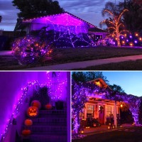 Potive Purple Solar Lights Outdoor Waterproof, 2 Pack Each 75.5Ft 200 Led Solar String Lights, 8 Modes Valentines Day Solar Lights For Tree Party Yard Halloween Christmas Decorations