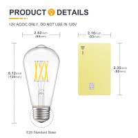 Tokcon 12V Led Edison Light Bulbs - Daylight 5000K 6W(Only For 12 Volt Dc/Ac) - E26 Standard Base - 60W Equivalent Dimmable St21 Low Voltage Led Filament Bulb For Rv, Off Grid, 2 Pack