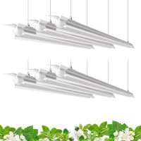 Barrina Plant Grow Light 4Ft 5000K Full Spectrum White 252W6 X 42W T8 Led Grow Light Growing Lamp Fixture Plant Light For