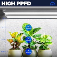 Barrina Plant Grow Light 4Ft 5000K Full Spectrum White 252W6 X 42W T8 Led Grow Light Growing Lamp Fixture Plant Light For