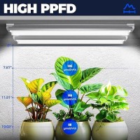 Barrina Grow Lights 2Ft 5000K White Full Spectrum Plant Growing Lamps 144W6 X 24W 800W Equivalent T8 Led Grow Light Bulbs