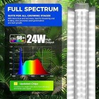 Barrina Grow Lights 2Ft 5000K White Full Spectrum Plant Growing Lamps 144W6 X 24W 800W Equivalent T8 Led Grow Light Bulbs