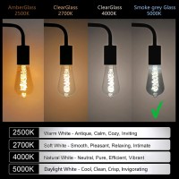 Ruiaotd St58(St19) Smoky Grey Glass Vintage Edison Light Bulbs, 4.5W Equivalent To 40W, Daylight White 5000K, Antique Flexible Spiral Led Filament Light Bulb, E26 Medium Base, Dimmable, 6 Pack