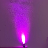 Taysing Led Mini Spotlight Indoor Picture Lights Artwork Lighting Art Lights Without Power Supply 2 Pack Purple