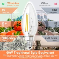 Winshine 10 Pack Dimmable E12 Led Bulb 2700K Warm White 4W Candelabra Light Bulbs 60 Watt Equivalent B11 Type B Small Base Lig