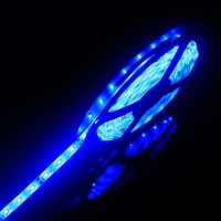 Hauty Blue Waterproof Led Strip Light 16Ft/5M Smd 2835 300 Leds 12V Flexible Cuttable Led Tape (No 12V Power Plug/Adapter)