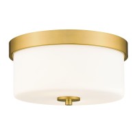 Emak 11 Inch Brushed Gold Flush Mount Ceiling Light Fixture 2Light Fixtures Ceiling Mount With Milk Glass Shades For Hallway