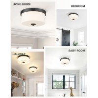 Emak Black Modern Flush Mount Ceiling Light Fixture With Milk Glass Fm082Bkml