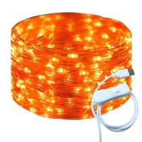 Ruichen Silver Wire 33 Ft 100 Led Usb Fairy String Lights With On/Off Switch (Orange)