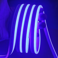 Vasten Led Neon Rope Light, 16.4Ft/5M 12V Dc Led Neon Strip Light, Silicone Led Neon Flexible Cuttable 1Cm For Indoor Outdoor Dyi Signage Decoration (Power Adapter Not Included) (Blue)