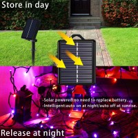 Solar Halloween String Lights Outdoor Orange & Purple, 2Pack Total 144Ft 400 Led Orange Lights 8 Modes With Timer, Ip44 Waterproof Purple Lights, Led Twinkle Lights For Party, Patio, Garden Decor