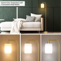 Qimh Floor Lamps For Living Room Modern Led Standing Reading Light For Bedroom With Glass Shade Tall Gold Industrial 3 Colors