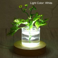 Patikil Wooden Led Light Base Stand 2 Packs Round Wooden 394 Dia White Lights Display Pedestals For Crystal Glass Art Decorat