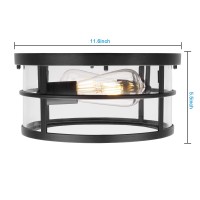 Darkaway Lighting Fixtures Ceiling Flush Mount Light Fixture, 11.6 Inch Hallway Ceiling Light Matte Black Outdoor Ceiling Light With Clear Glass For Porch Kitchen Living Room 2-Light