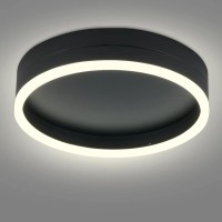 Modern Led Ceiling Light,11.82 Inch Black Ceiling Lamps,5000K Cool White 18W Led Flush Mount Round Fixtures,For Office Entrance Kitchen Stairwell Basement Bedroom Washroom.