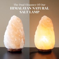 Pohs 100 Authentic Natural Himalayan Pink Salt 810 Inches Lamp Hand Carvedcrafted Crystal Rock Salt Lamps From Himalayan Moun