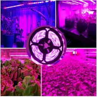 Led Grow Light Strips,Waterproof Full Spectrum Plant Grow Light,Usb 13.12Ft 240Leds, Flexible Growing Lamp For Indoor Plants Succulents Hydroponics Greenhouse Gardening