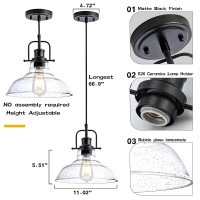 Zlepmlla Black Industrial Pendant Light Farmhouse 1Light With Adjustable Cord Clear Bubble Glass Shade Rectangle Cute Hanging