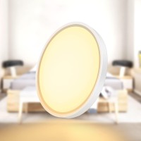 Inshareplus Led Flush Mount Ceiling Light Fixture, 1500Ml 2800K Warm White 7Inch Flat Modern Ceiling Lighting,12W(120W Equiv), Ceiling Lamp Used In Bedroom, Bathroom, Kitchen, Corridor