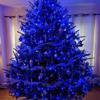 Dazzle Bright 33Ft 100 Led Christmas String Lights Indoor Outdoor Waterproof Blue Christmas Lights Green Wire Twinkle Lights P