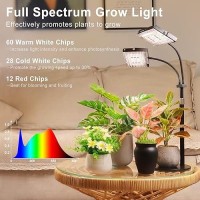 Lbw Plant Grow Light Full Spectrum Dual Heads Desk Plant Light For Indoor Plants Growing Lamp With 3H6H12H Timer 6Level Br