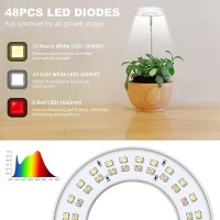 Kullsinss Grow Lights For Indoor Plants 2 Heads Small Plant Grow Light Full Spectrum With Height Adjustable 10 Dimmable Bright