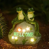 Nacome Solar Garden Outdoor Statues Frog With Succulent And 7 Led Lights Lawn Decor Figurine For Patio Balcony Yard Ornament