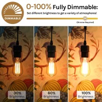 60 Watt Incandescent Edison Light Bulbs, Vintage Dimmable E26 Bulbs, St58 2200K Warm White Antique 260Lm E26 Medium Screw Base Amber Filament Bulbs For Home, Bedroom, Office, Decorative Lamp(4-Pack)