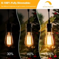 60 Watt Incandescent Edison Light Bulbs, Vintage Dimmable E26 Bulbs, St64 2200K Warm White Antique 260Lm E26 Medium Screw Base Amber Filament Bulbs For Home, Bedroom, Office, Decorative Lamp(4-Pack)