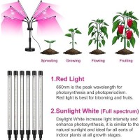 Grow Lights For Indoor Plants Six Head Led Grow Light With Full Spectrum Plant Lights For Seed Starting With Adjustable Goosen