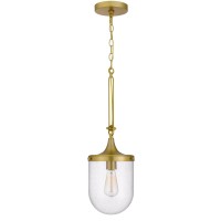 8 Inch Dia. Pendant Ceiling Light Fixture, Round Glass Shade, Adjustable