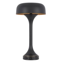 Emma 22 Inch Modern Desk Lamp, 2 Usb, 1Type C Charging Port, Dark Bronze