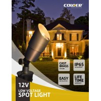 Coloer Diecast Brass Landscape Spotlights Outdoor 12V Acdc Low Voltage Led Garden Landscape Lighting Ip65 Waterproof Outdoor